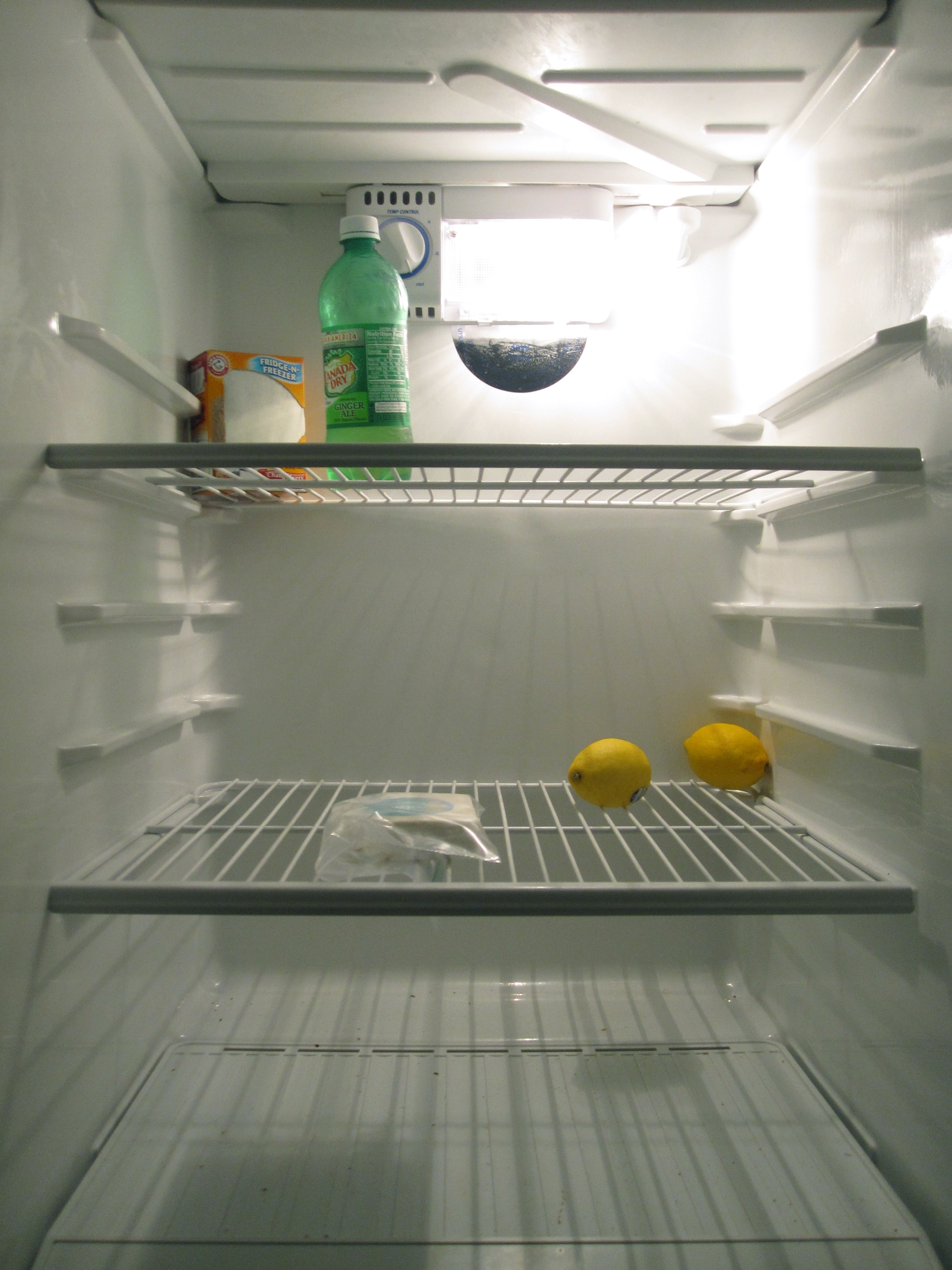 empty refrigerator | eating in your underwear